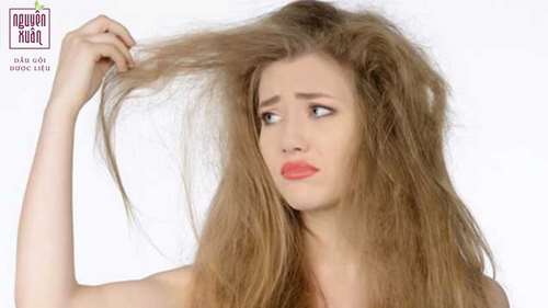 Cải thiện tóc khô xơ như thế nào?