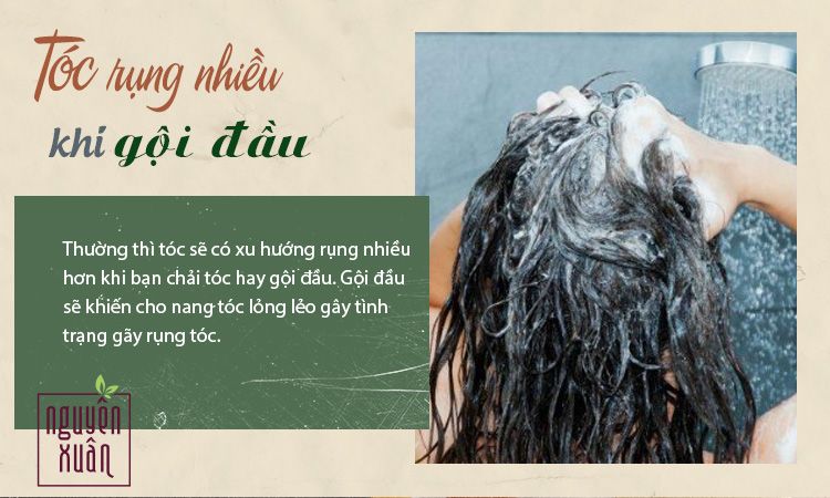 Dầu gội đầu khô nội địa Trung không cần dùng nước thơm mát suôn mượt  chống rụng tóc đánh bay gầu dành cho nam nữ  Chăm sóc tóc và da đầu 