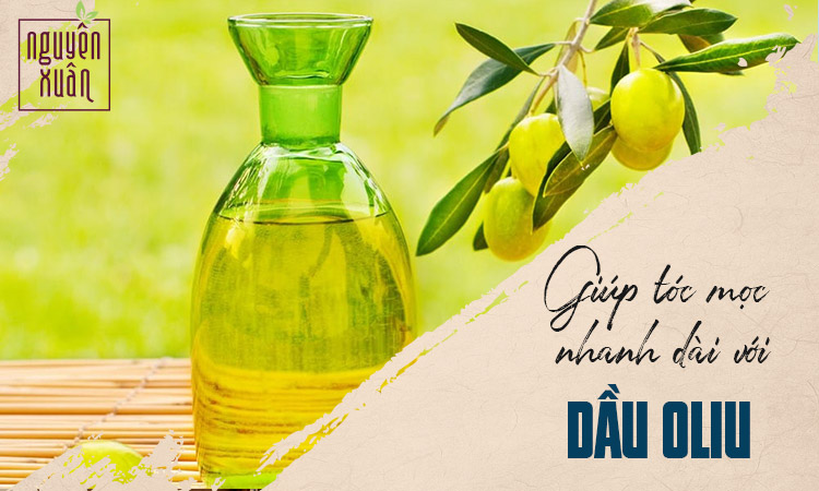 Dầu oliu: Sử dụng dầu oliu giúp nuôi dưỡng tóc khỏe mạnh, giảm rụng tóc và ngăn ngừa tóc khô xơ. Hãy xem hình ảnh liên quan để tìm hiểu cách sử dụng dầu oliu hiệu quả.