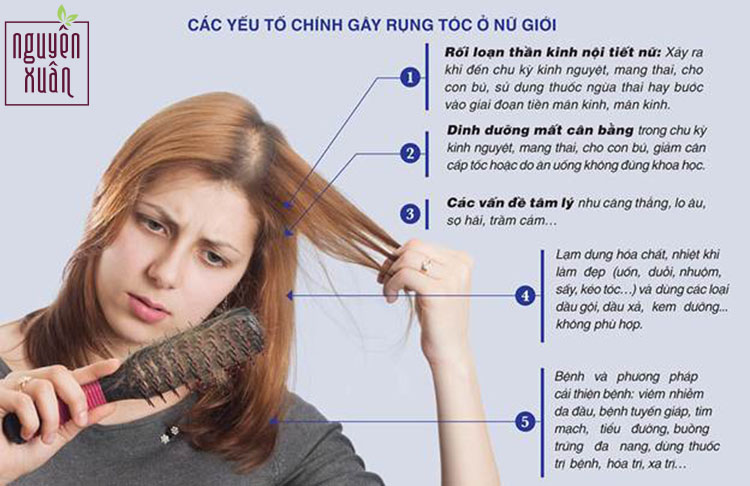 Nguyên nhân phổ biến dẫn đến rụng tóc ở nữ giới - Nguyên Xuân