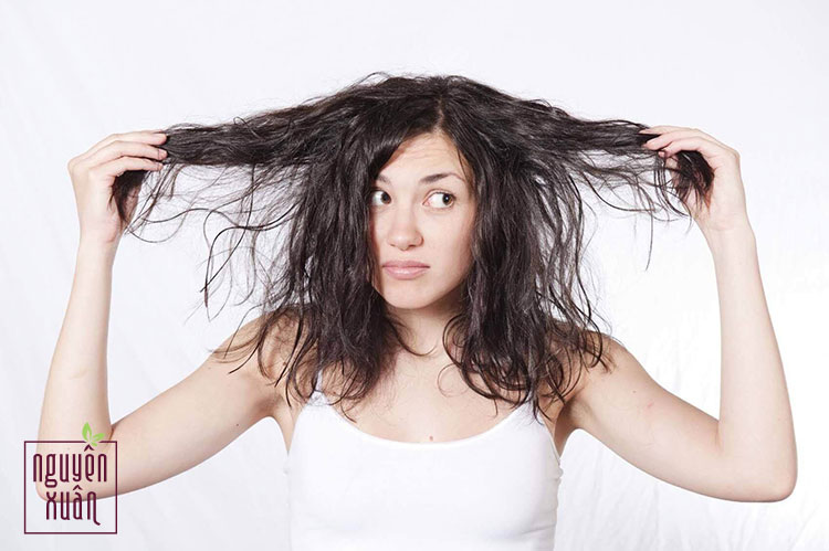 Chăm sóc tóc bông xù như thế nào mới hiệu quả? – Nguyên Xuân