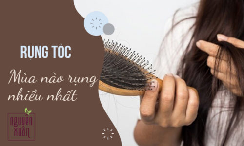 Tóc kéo dài chu kỳ rụng trong mùa có bắt đầu từ tháng nào?
