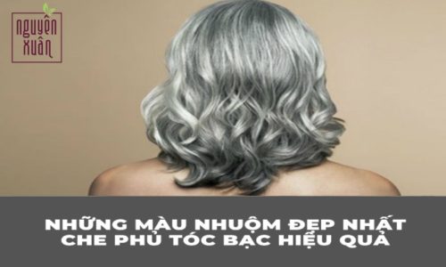 MÀU NHUỘM PHỦ BẠC THỜI TRANG Thuốc nhuộm tóc Phủ Bạc màu thời trang cao cấp   Shopee Việt Nam