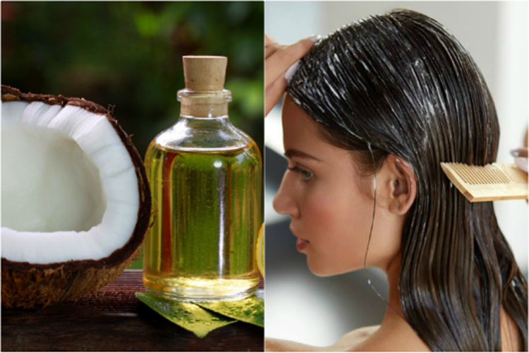 Trộn dầu dừa với dầu gội có tác dụng dưỡng ẩm da đầu