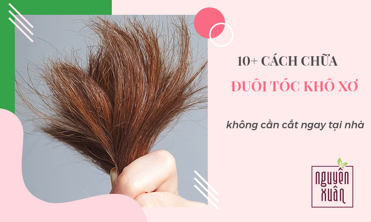 Cải thiện tình trạng tóc khô xơ gãy rụng đơn giản và hiệu quả ngay tại nhà