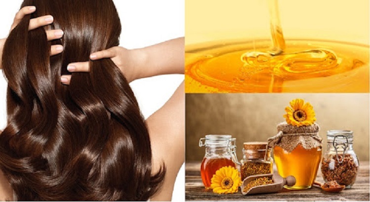 Bạn có thể sử dụng mật ong để dưỡng tóc 