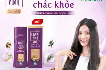 RA MẮT DẦU GỘI NGUYÊN XUÂN CHẮC KHỎE PHÙ HỢP CHO TÓC YẾU, DỄ GÃY RỤNG