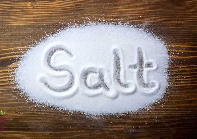 Hướng dẫn bạn cách trị gàu bằng muối tại nhà