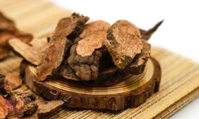 Top 5 dầu gội đen tóc chứa hà thủ ô hiện nay