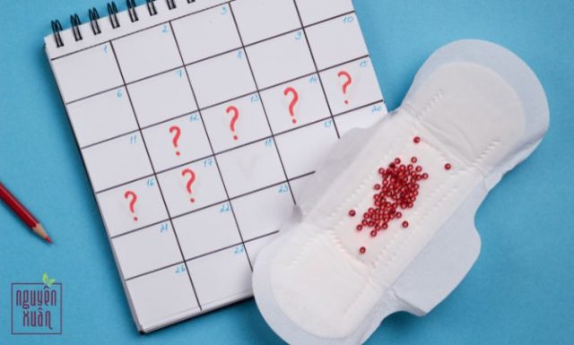 [GIẢI ĐÁP] Có nên gội đầu trong ngày đèn đỏ?