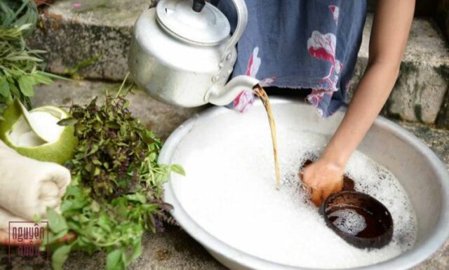 Top 5+ loại nước lá gội đầu chống rụng tóc